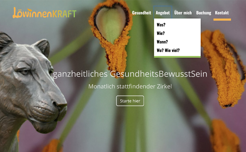 SchwarzwaldFaser